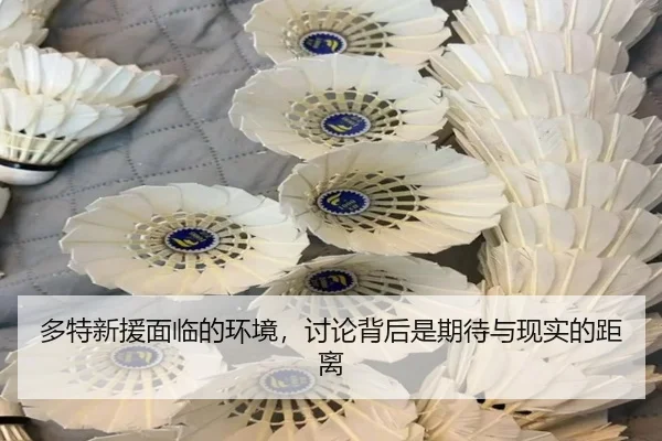 多特新援面临的环境，讨论背后是期待与现实的距离